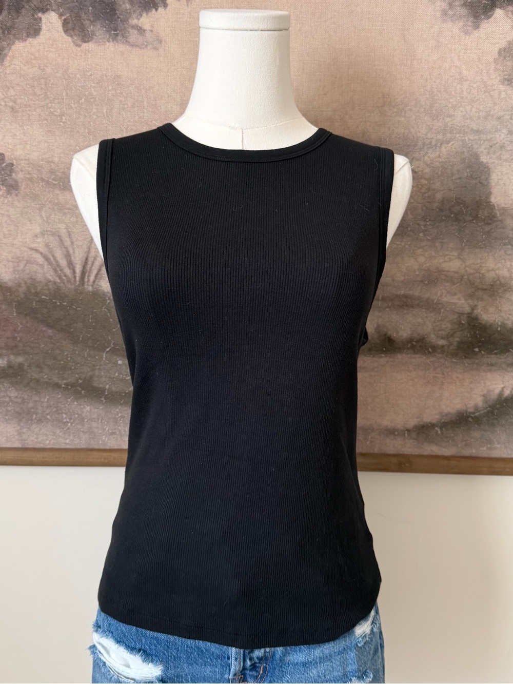 American Eagle Outfitters Black Ribbed Sleeveless Tank